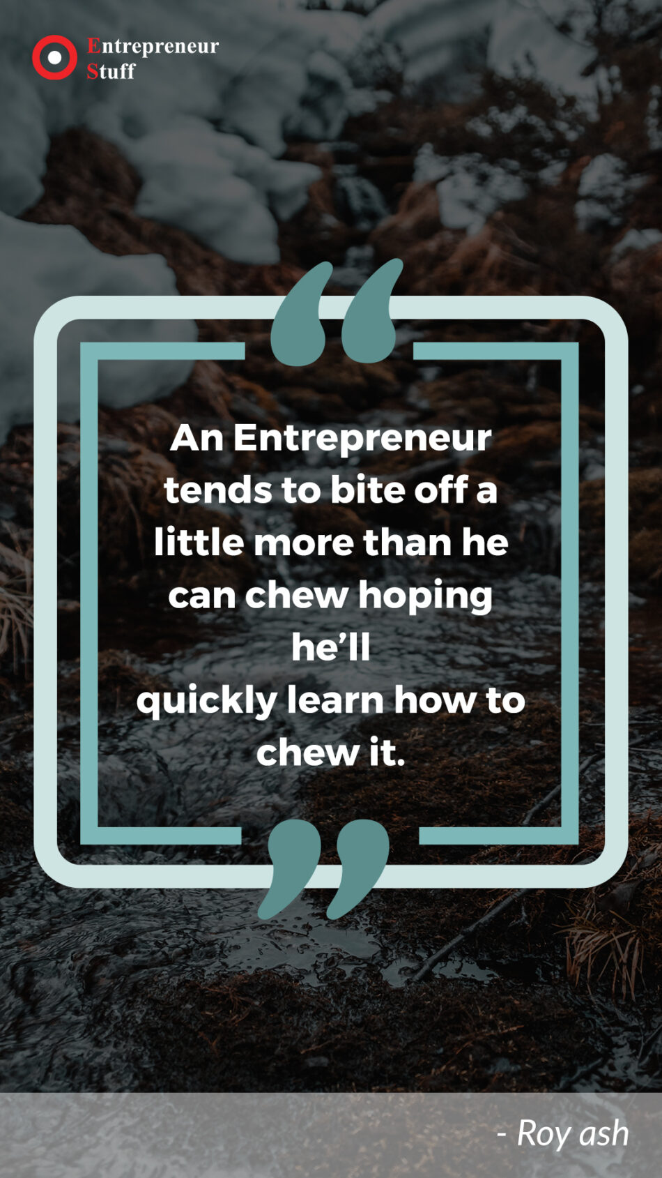 An Entrepreneur tends to bite off a little more than he can chew hoping he will quickly learn how to chew it entrepreneurstuffs.com